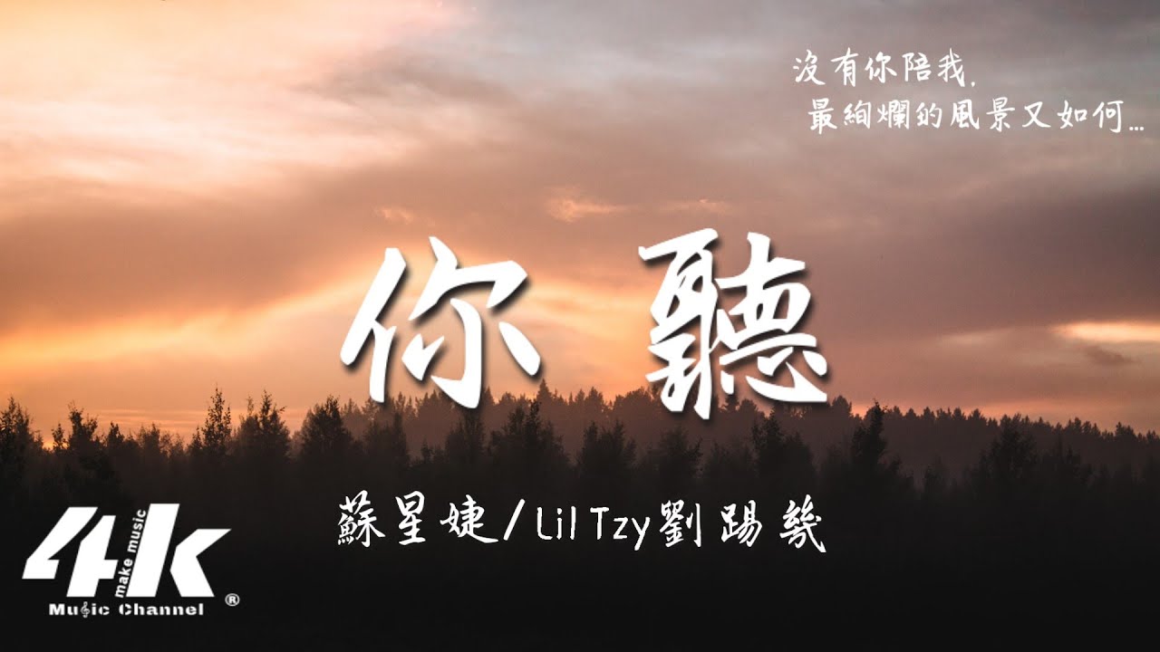 蘇星婕/Lil Tzy劉踢幾 - 你聽『海鷗眷念著大海 遙不可及，她望不到的天際。』【動態歌詞Lyrics|高音質|video】