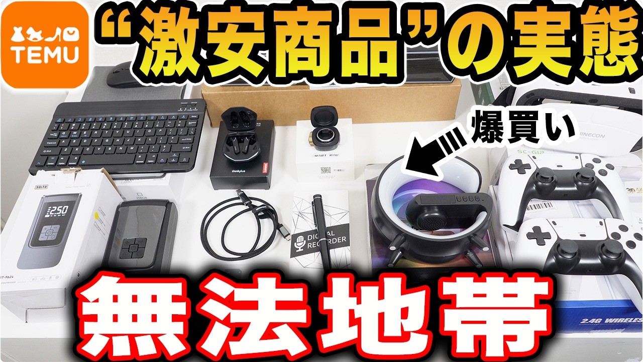 【Temuの実態】激安通販の