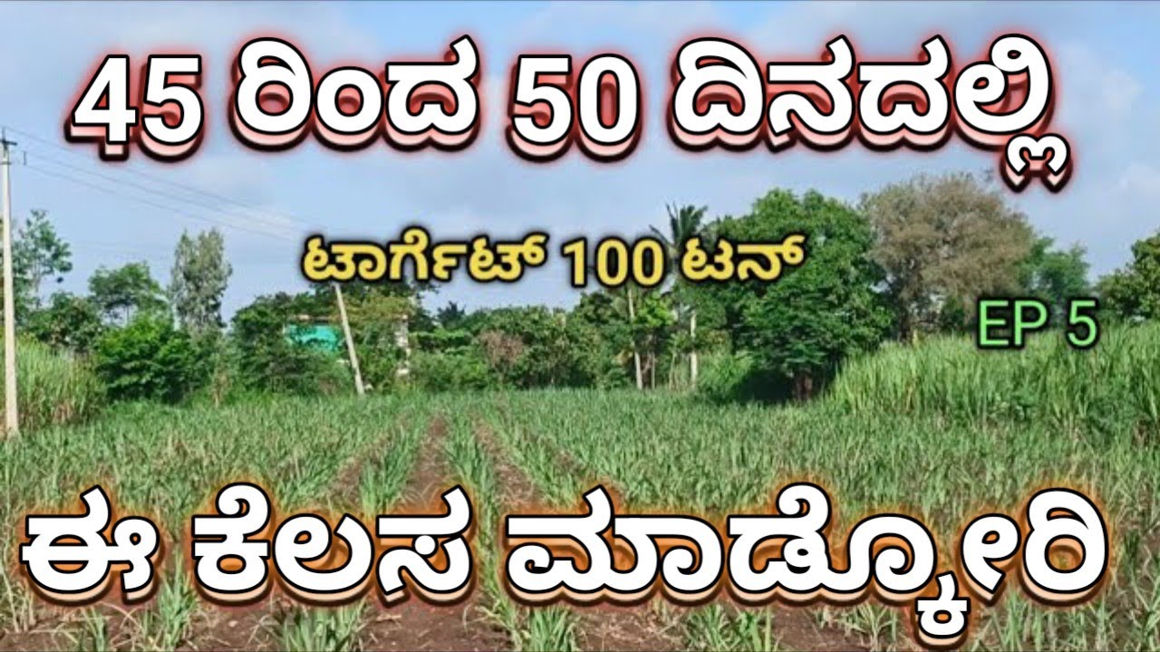 50 ದಿನದೊಳಗೆ ಈ ಎರಡು ಕೆಲಸ ಆಗಾಕ ಬೇಕ.