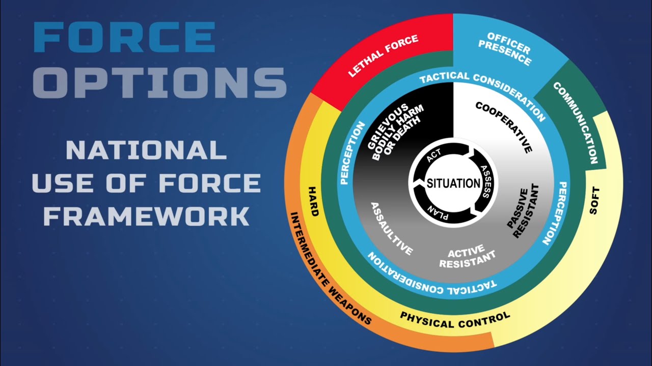 The Odd Squad Beat: Understanding Police Use of Force – NUFF Overview