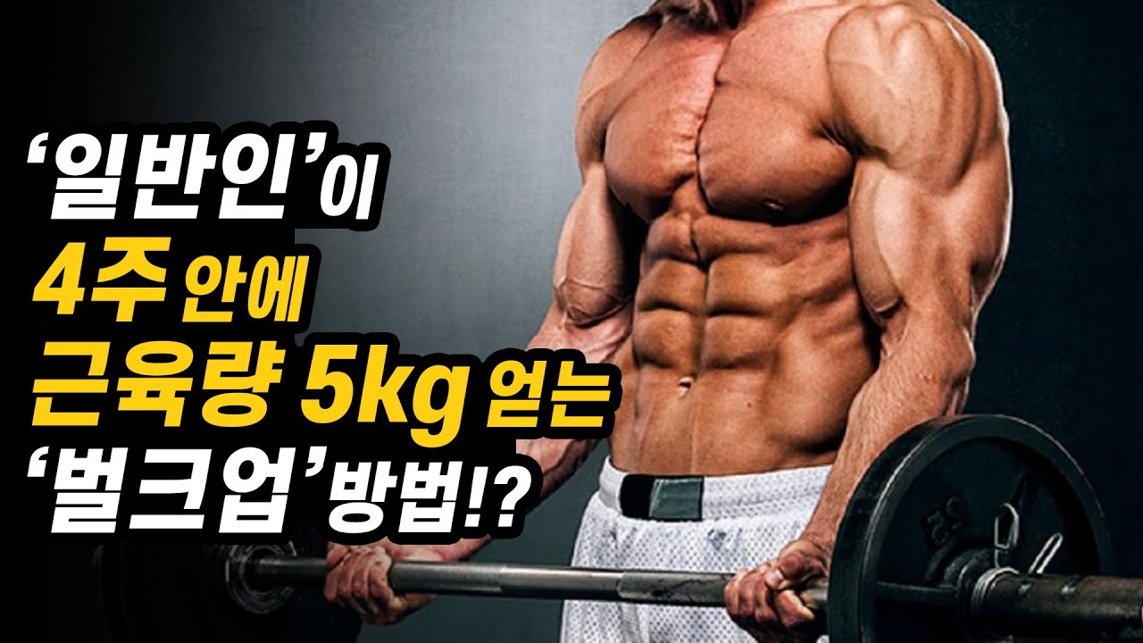 일반인이 '벌크업'으로 체격을 키우는 가장 빠른 방법!? | 4주간 근육량 5kg을 얻는 벌크업 프로그램