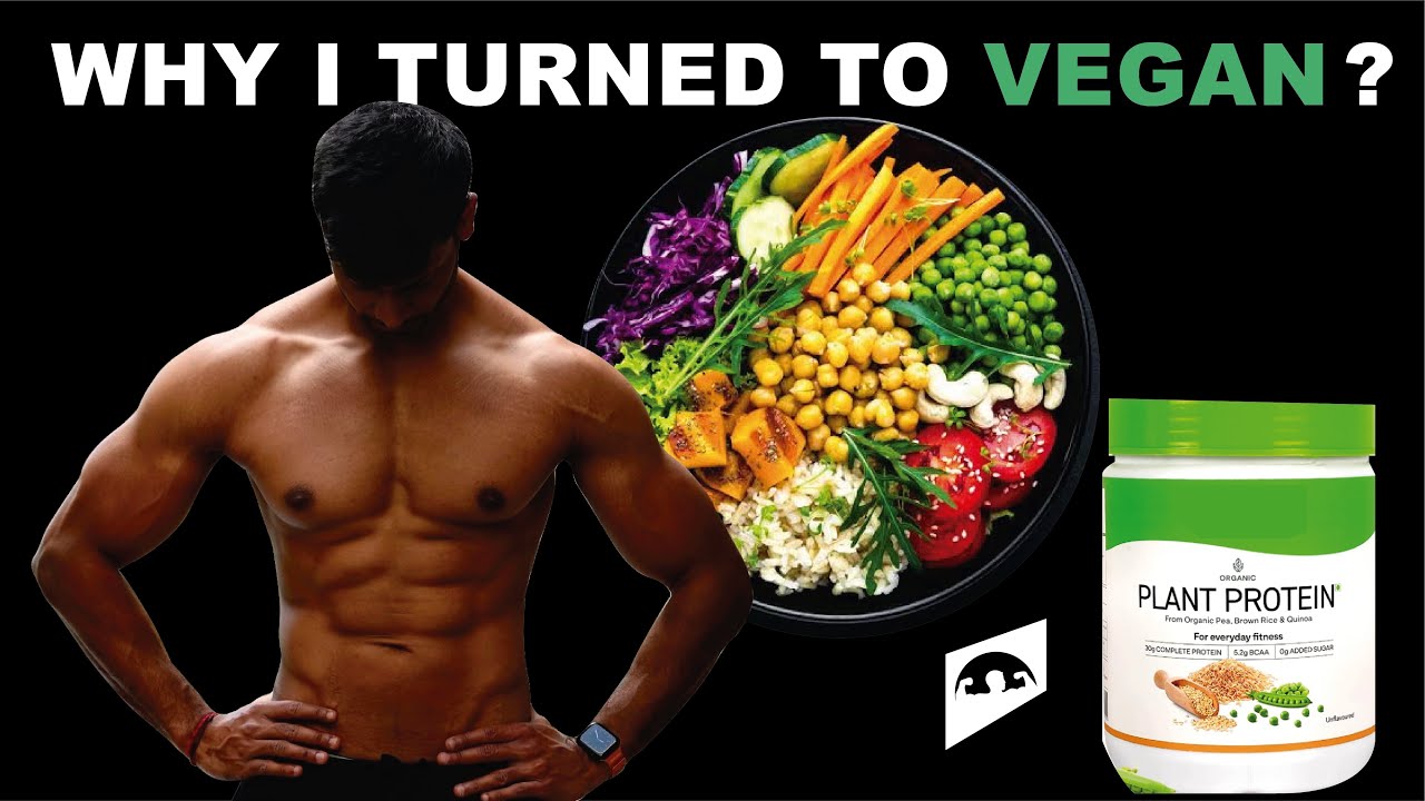 TURNING TO VEGAN || BEST DECISION OF MY LIFE || PROS & CONS ||