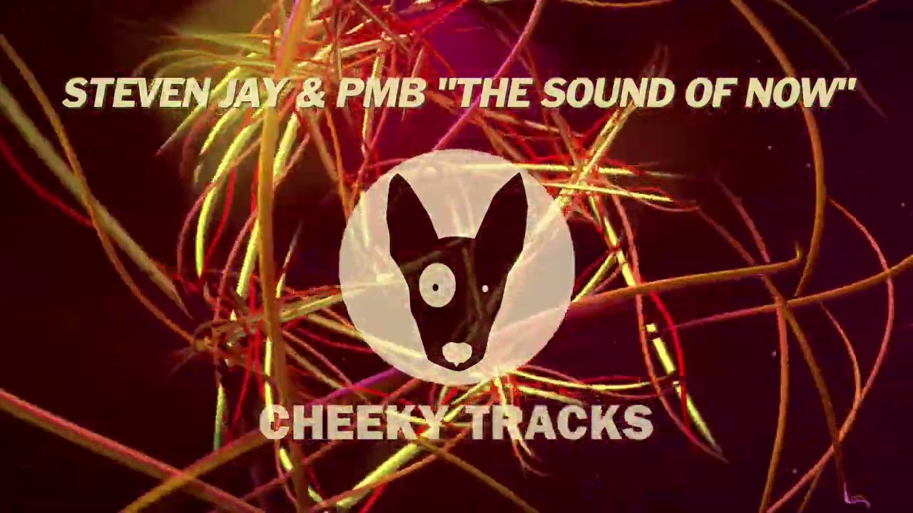 Steven Jay & PMB - The Sound Of Now (Cheeky Tracks) OUT NOW