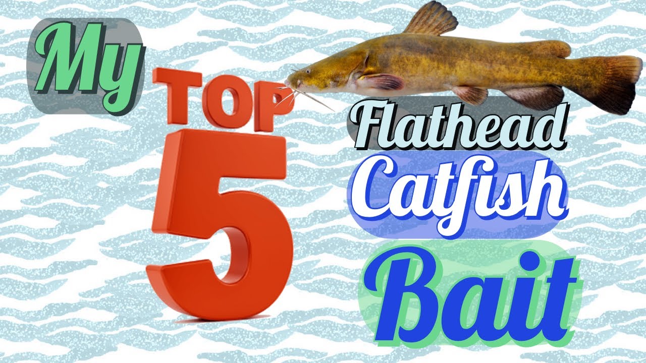 My Top 5 Flathead Catfish Bait