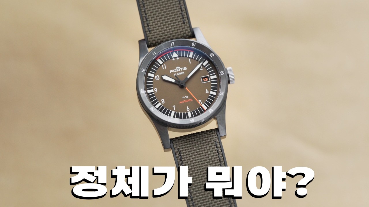 고집불통 툴무새가 만든 파일럿 워치.