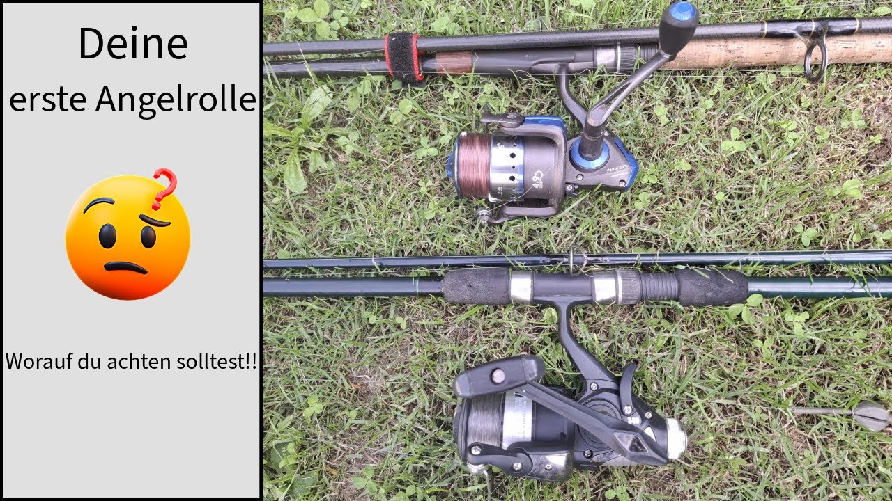 Angelrollen f&uuml;r Anf&auml;nger