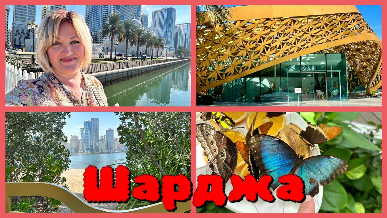 ОАЭ 🇦🇪 Шарджа .Парк Al Noor Island جزيرة النور 🦋Завтрак с панорамным видом Отель Golden Tulips