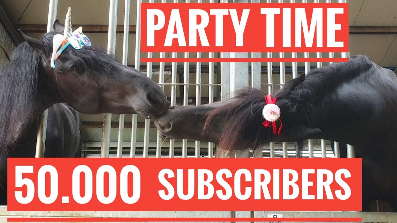 Horse party time! 50.000 subscribers! Time for a Friesian Horse party! YAY 50K!