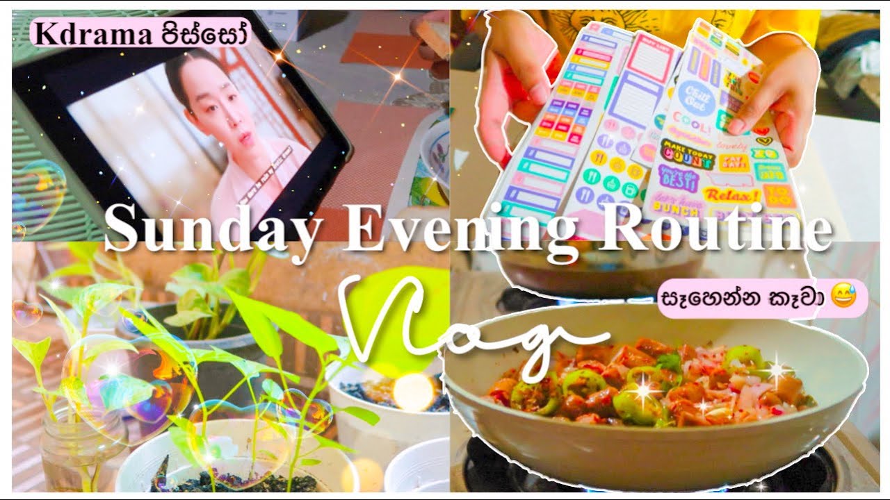 DAY VLOG | ඉරිදා කාපු කෑම ගොඩක්😂English කතා පොත් free කියවමු ද🌸Journaling, Kdramas & Life dramas🤭