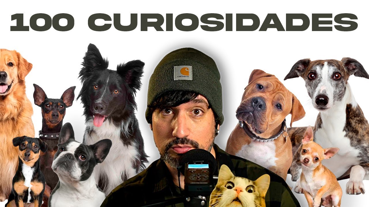 100 Razas de perro... y sus 100 Curiosidades INCREÍBLES