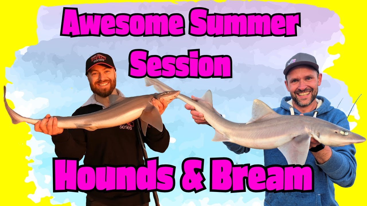 Amazing Summer Session