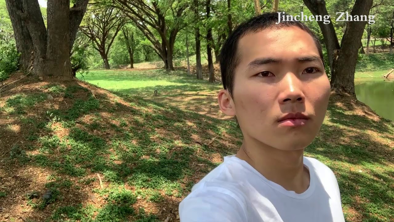 Jincheng Zhang - Besides (Free Music) (Instrumental) (Background Music) (Official Video 2020)