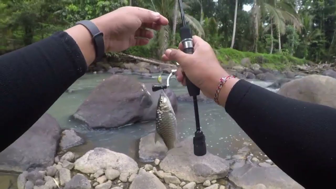 STREAM FISHING || ANAKAN IKAN MAHSEER  YANG BEGITU AGRESIF