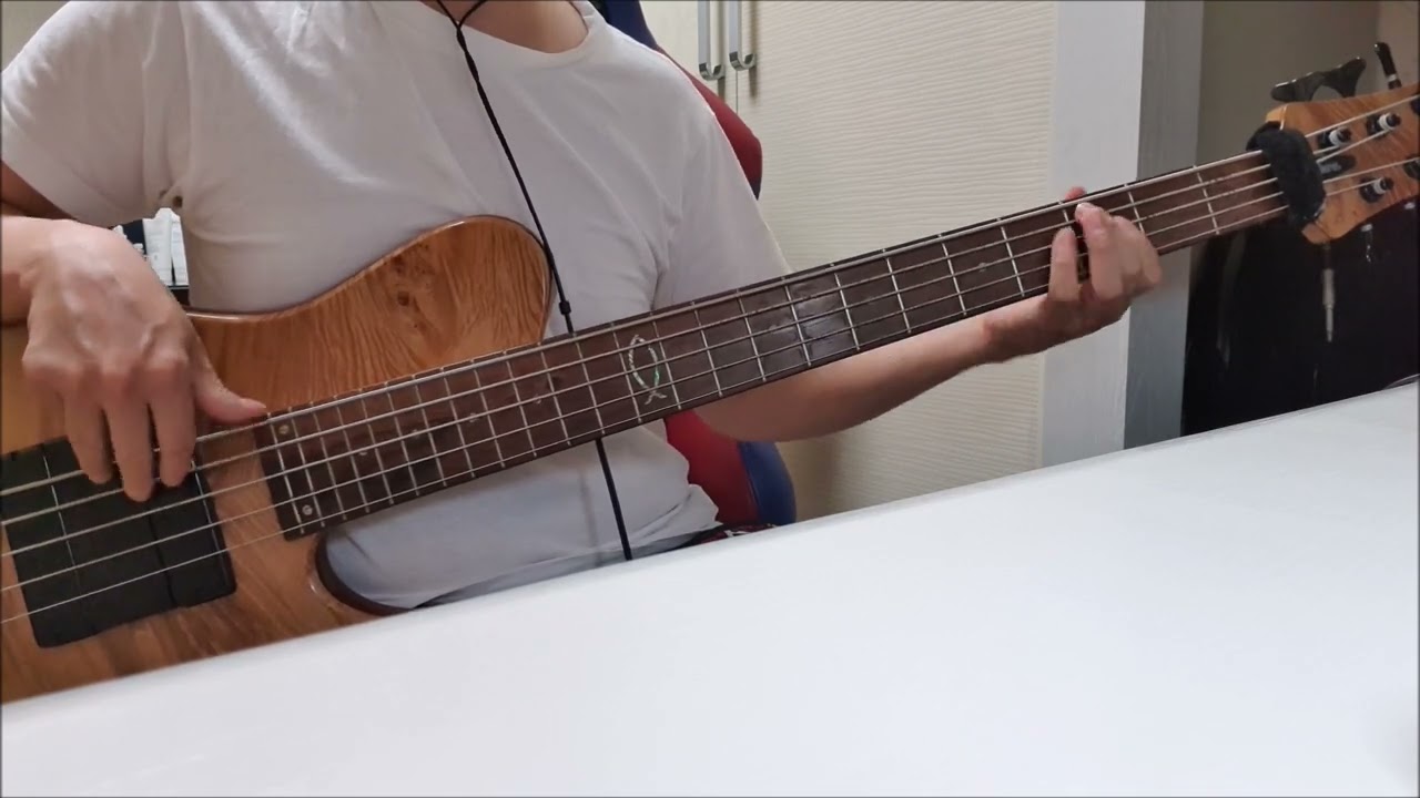 Marco Antonio Solís - Si No Te Hubieras Ido (bass cover)