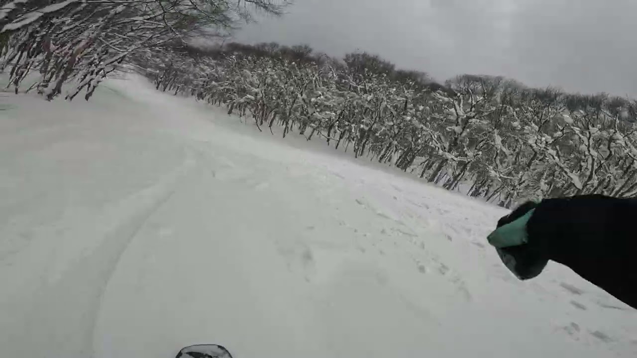 20260127道後山高原スキー場 パノラマコース右側