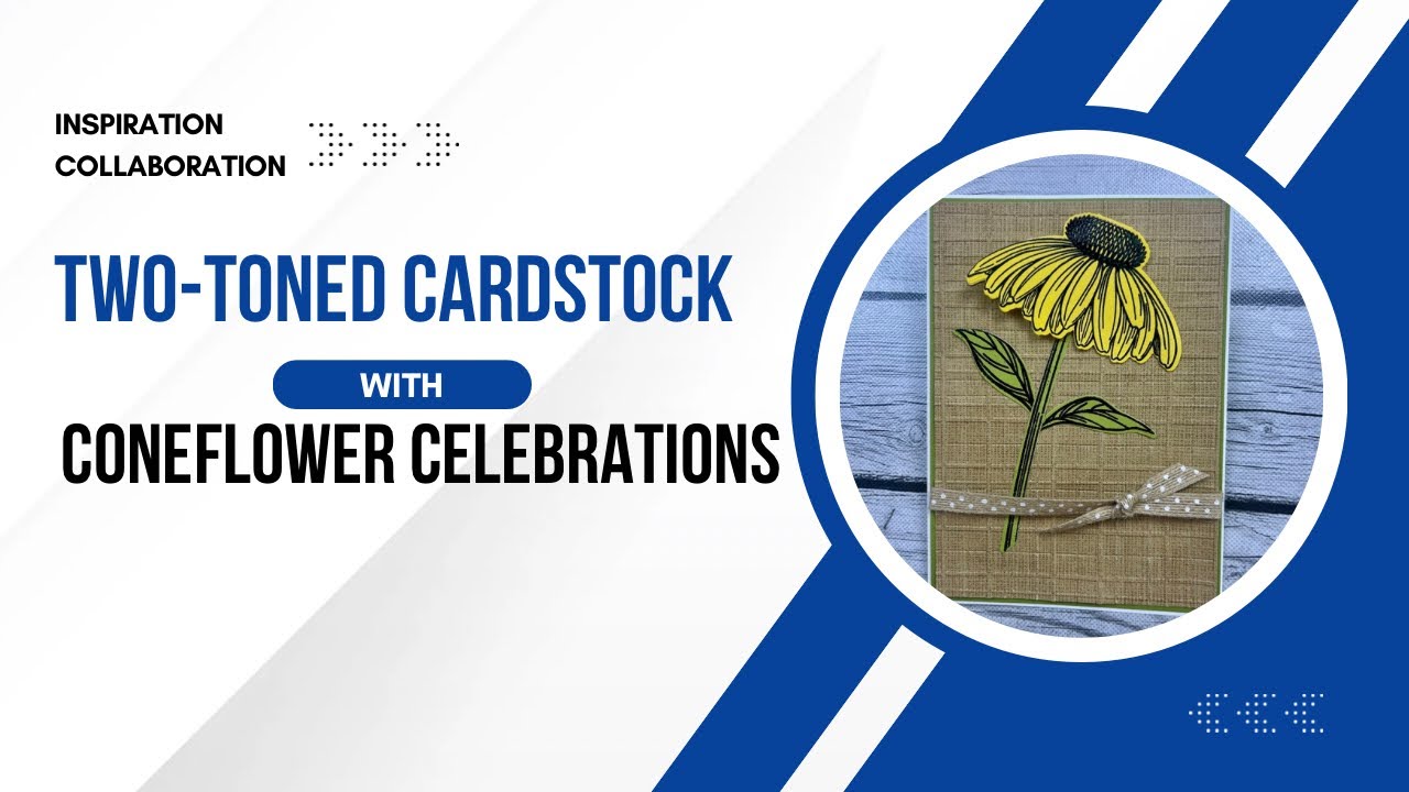 Two-toned Cardstock with Coneflower Celebrations | July 2025 Inspiration Collaboration