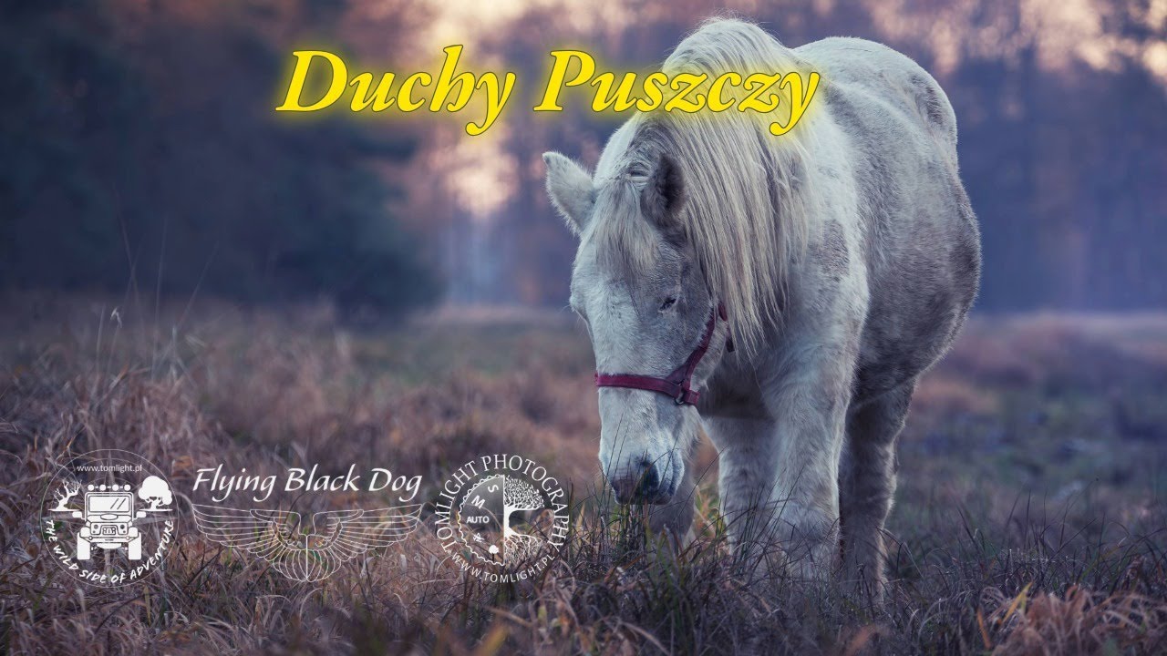Duchy Puszczy