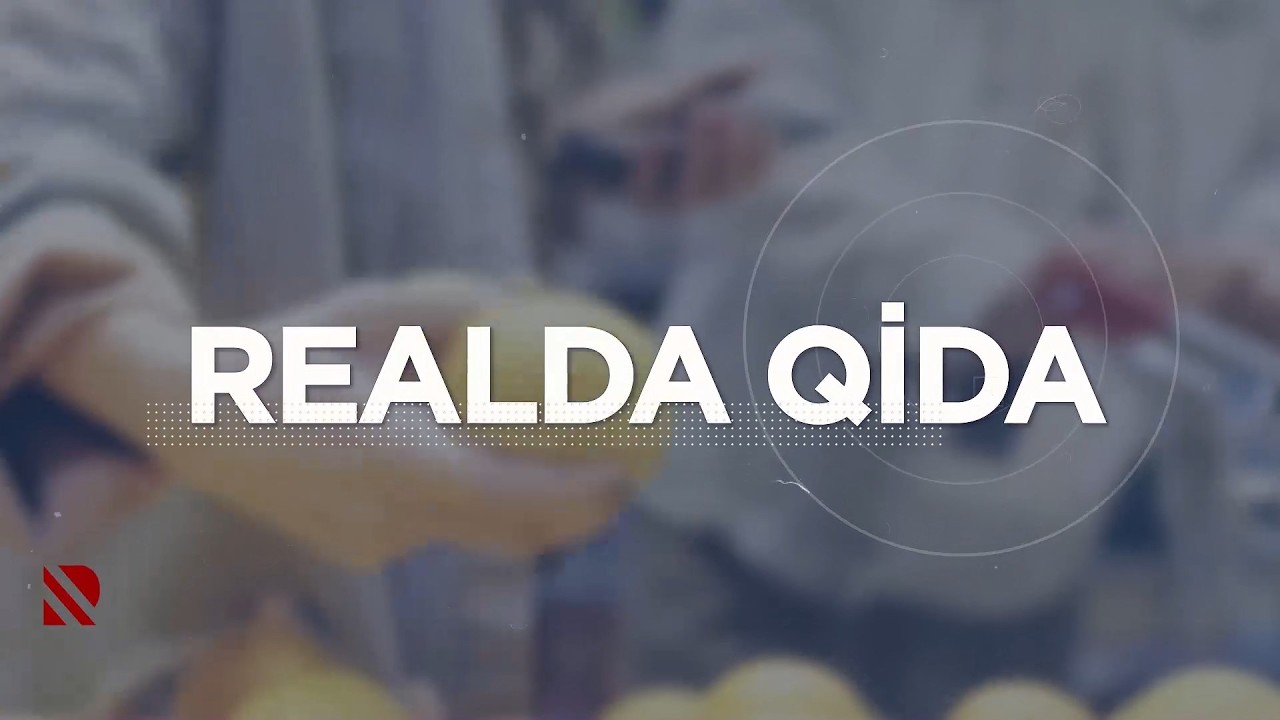 Realda Qida: Heyvanların identifikasiyası və qeydiyyatı prosesi niyə vacibdir?