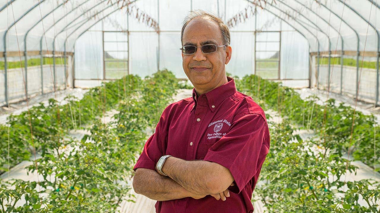 Food hub: a win-win for all