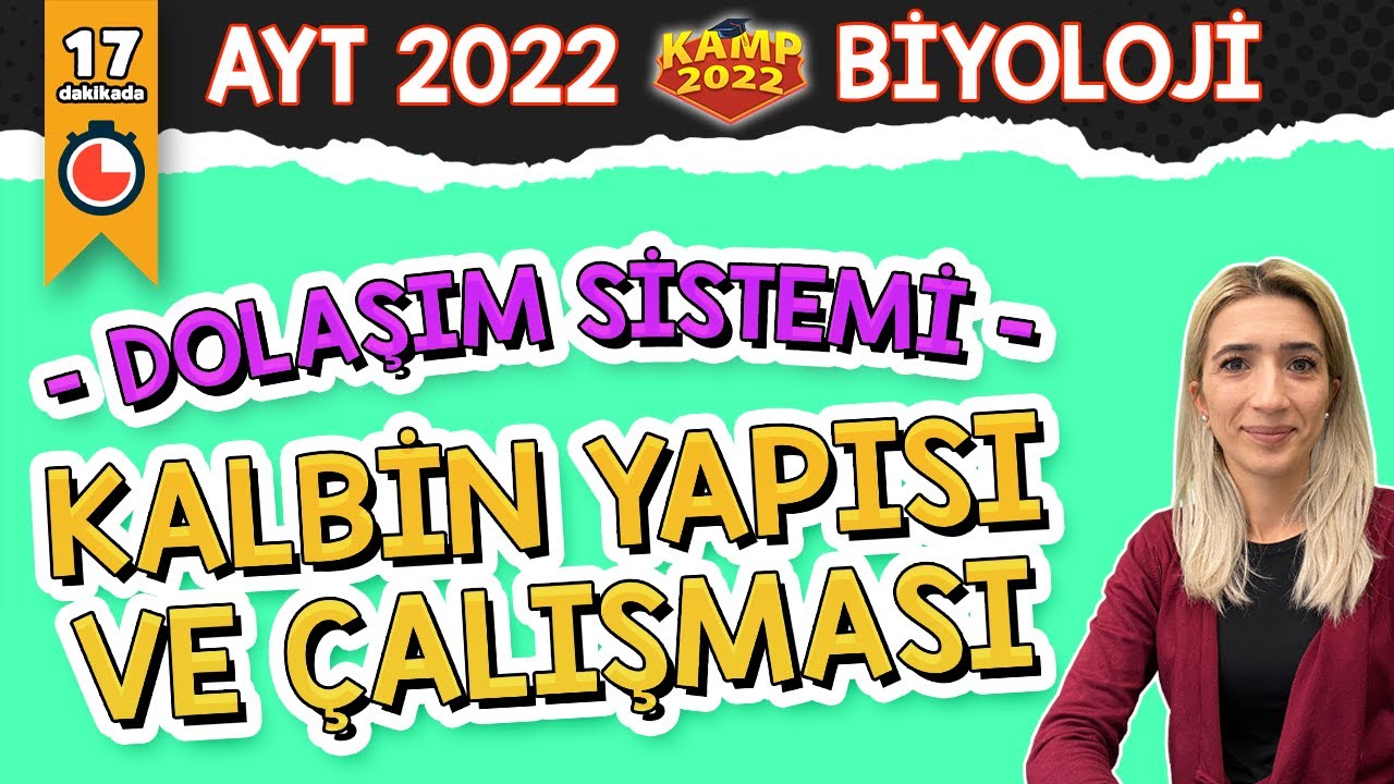 Kalbin Yapısı ve Çalışması | AYT Biyoloji #Kamp2022