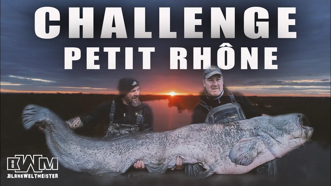 Challenge PETIT RHÔNE | Wallerfischen in der Camargue | BLANKWELTMEISTER