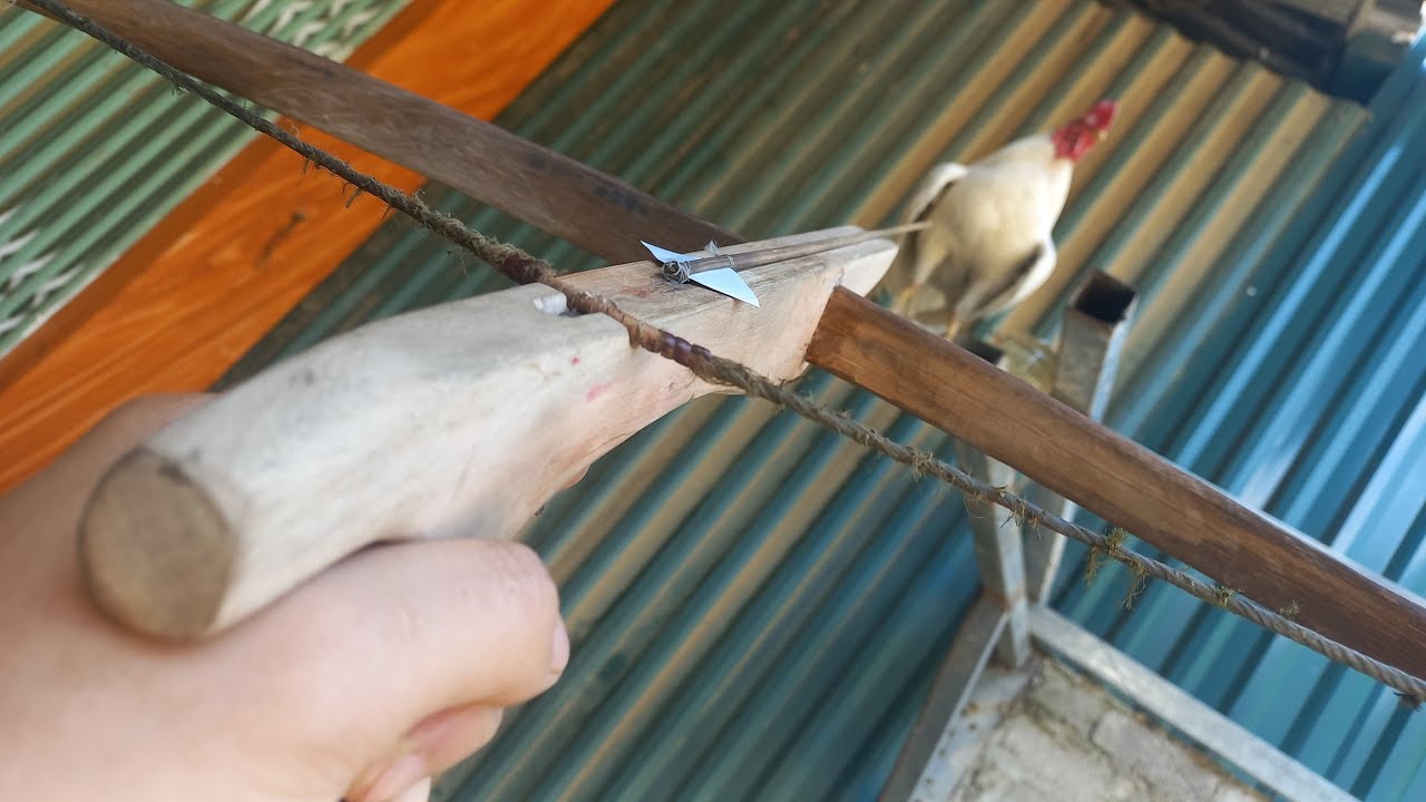 How To Make Survival Mini Crossbow || Donald Lo