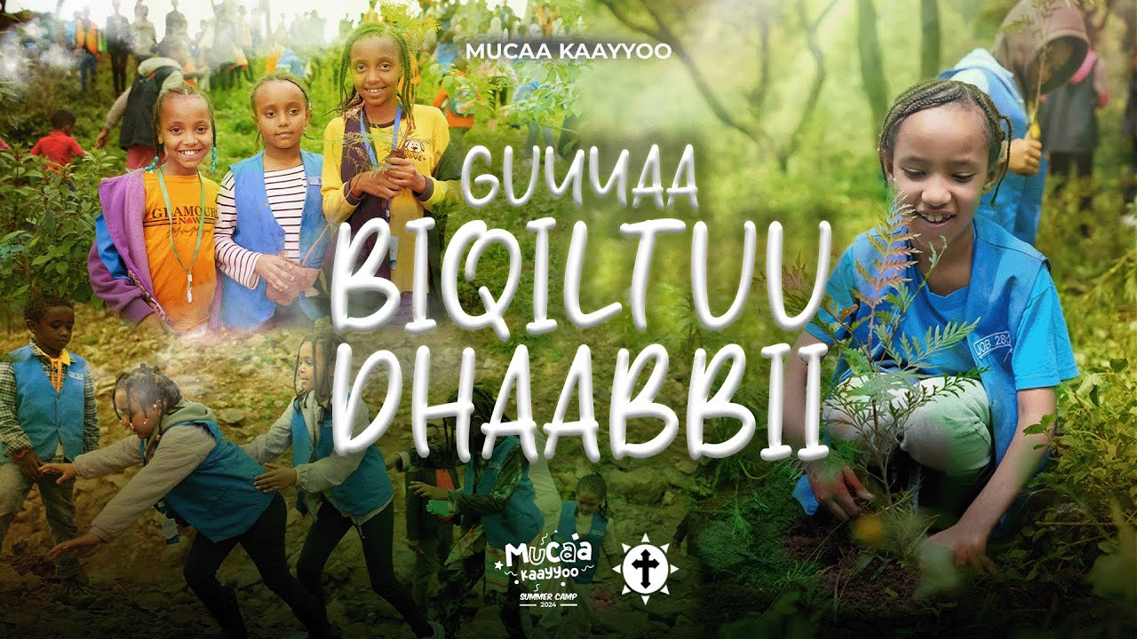 Guyyaa Biqiltuu Dhaabbii | Tree Planting Day || Mucaa Kaayyoo