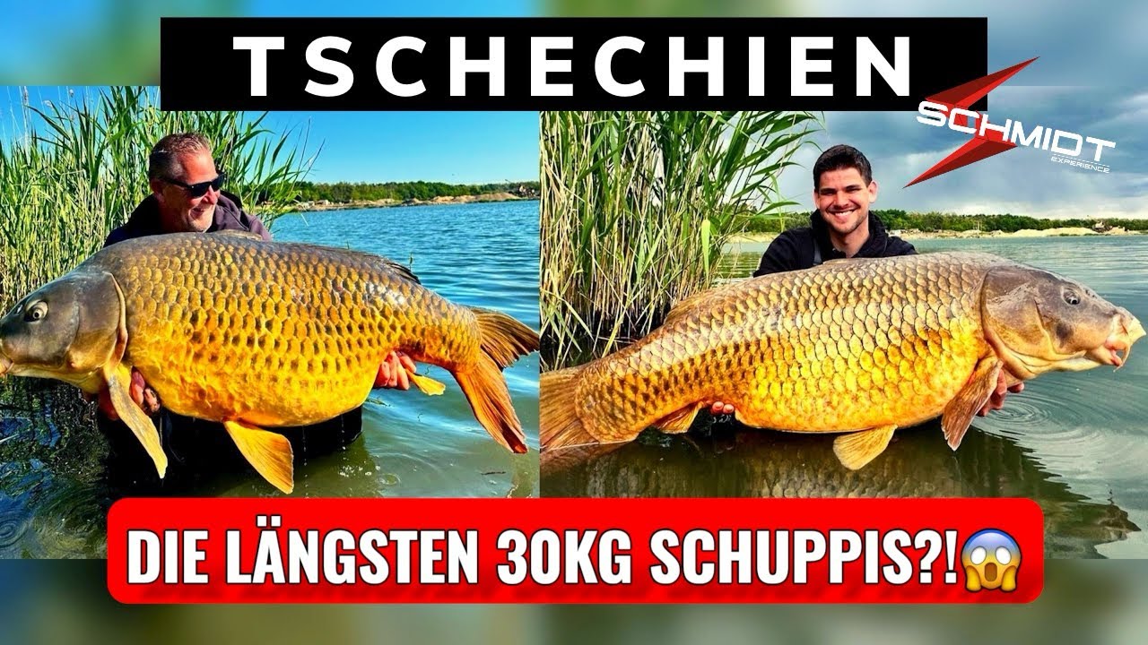 Riesige 30kg Schuppis?! | Es kracht am Mistrinsee 🇨🇿| Unser YouTube-Comeback🔥