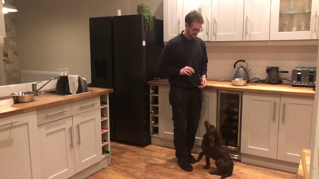 Teaching puppy dog not to jump up to kitchen counters or work surfaces