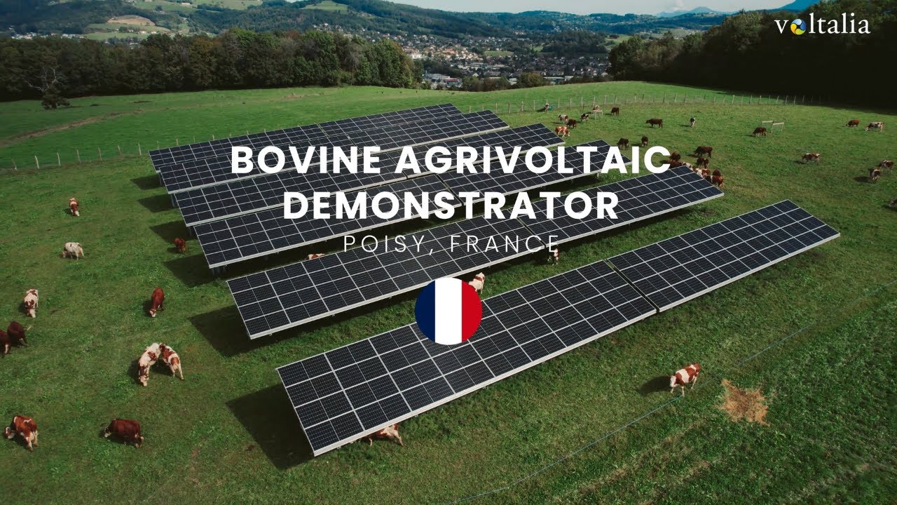 Voltalia - Poisy Agrivoltaic Power Plant