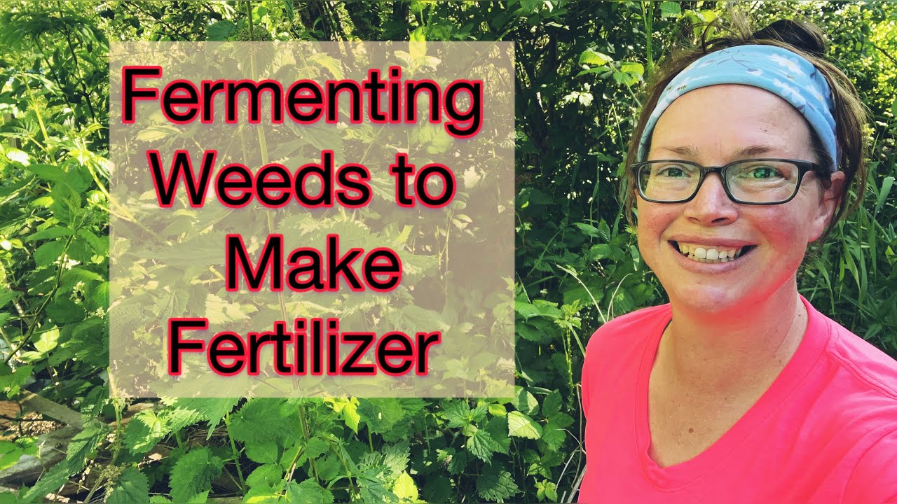 Turn Weeds into Fermented Fertilizer | PNW