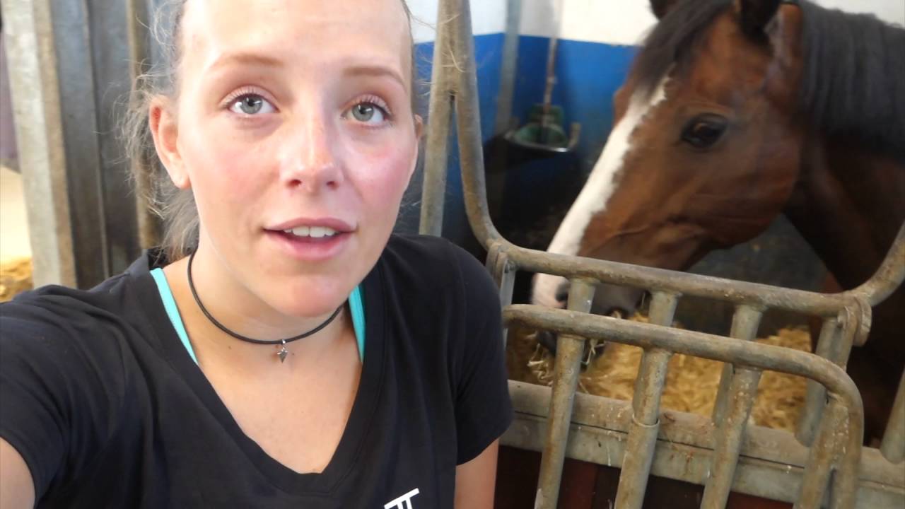 Vlog: Dag op stal bij Romy