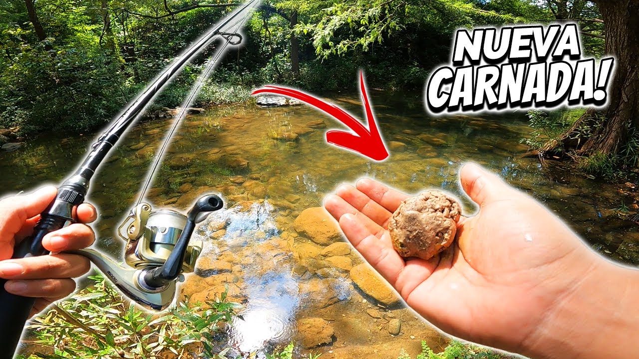Probando NUEVA CARNADA para Mojarras