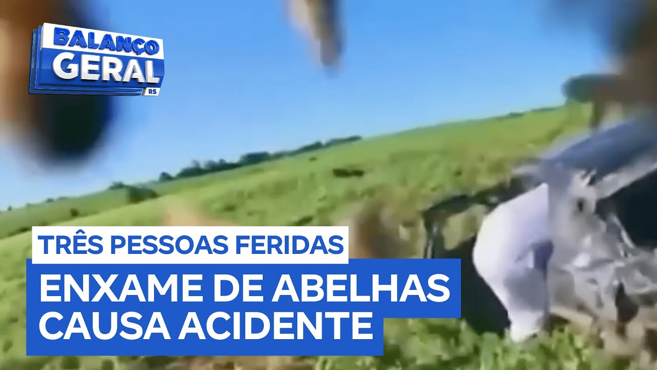 Enxame de abelhas provoca acidente de trânsito e deixa três pessoas feridas
