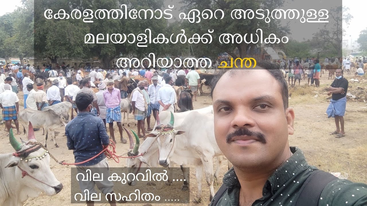അന്നൂർ....  പുളിയം പട്ടി ചന്ത.....Puliyam Patti Chandha....