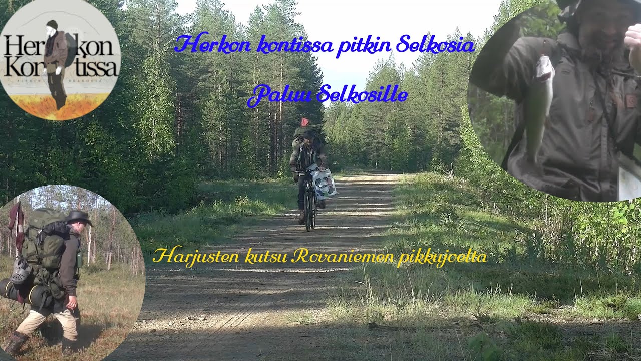 Harjusten kutsu Rovaniemen pikkujoelta