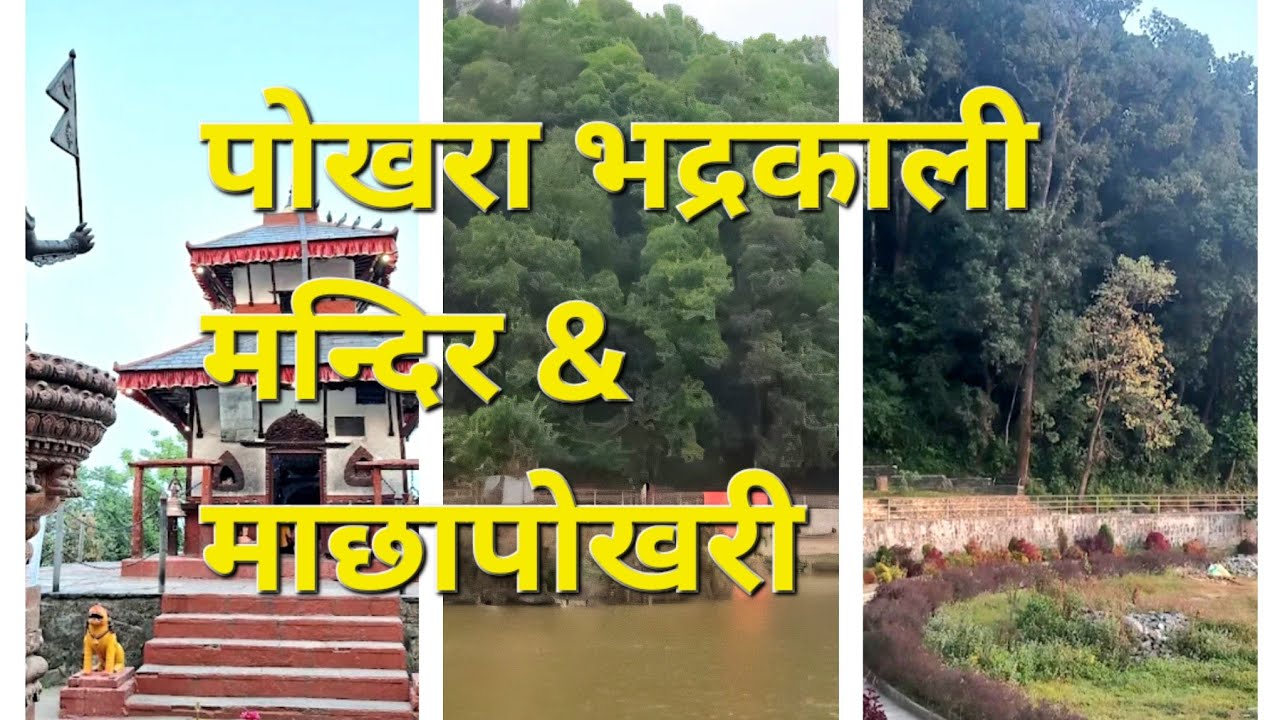 पोखरा भद्रकाली मन्दिर र माछा पोखरी को अवस्था 