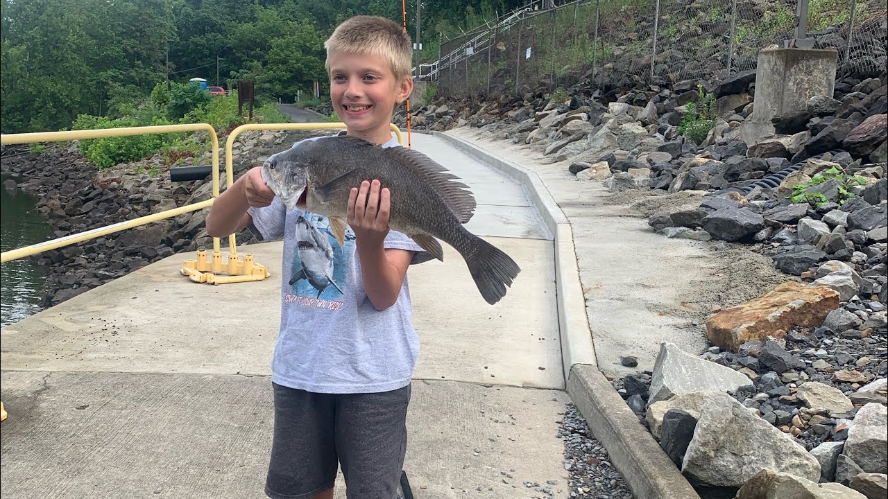 Multi Species Fishing Cheat River Dam