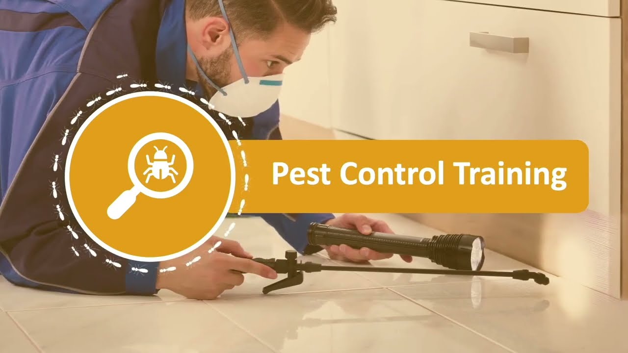 Pest Control Training - Course Demo Video - Human Focus International