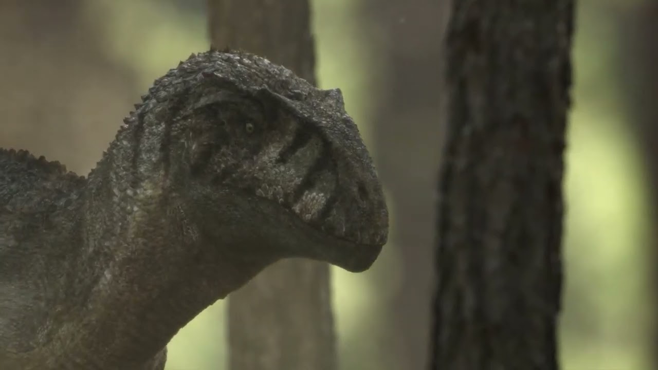 Sinraptor Hunt Life on our planet