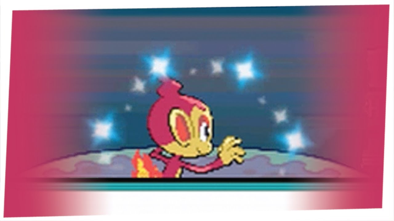 Live Shiny Chimchar after 19,745 SRs in Platinum! [DTQ #1]