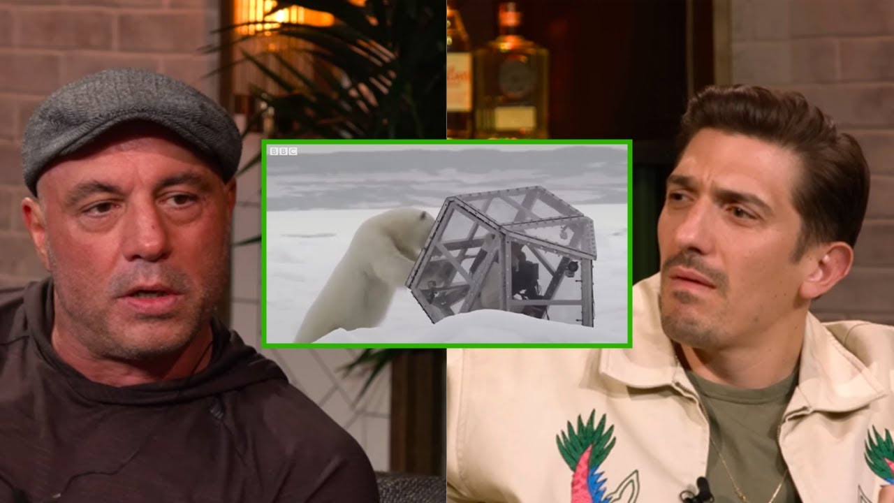 Joe Rogan - Terrifying Polar Bear Story
