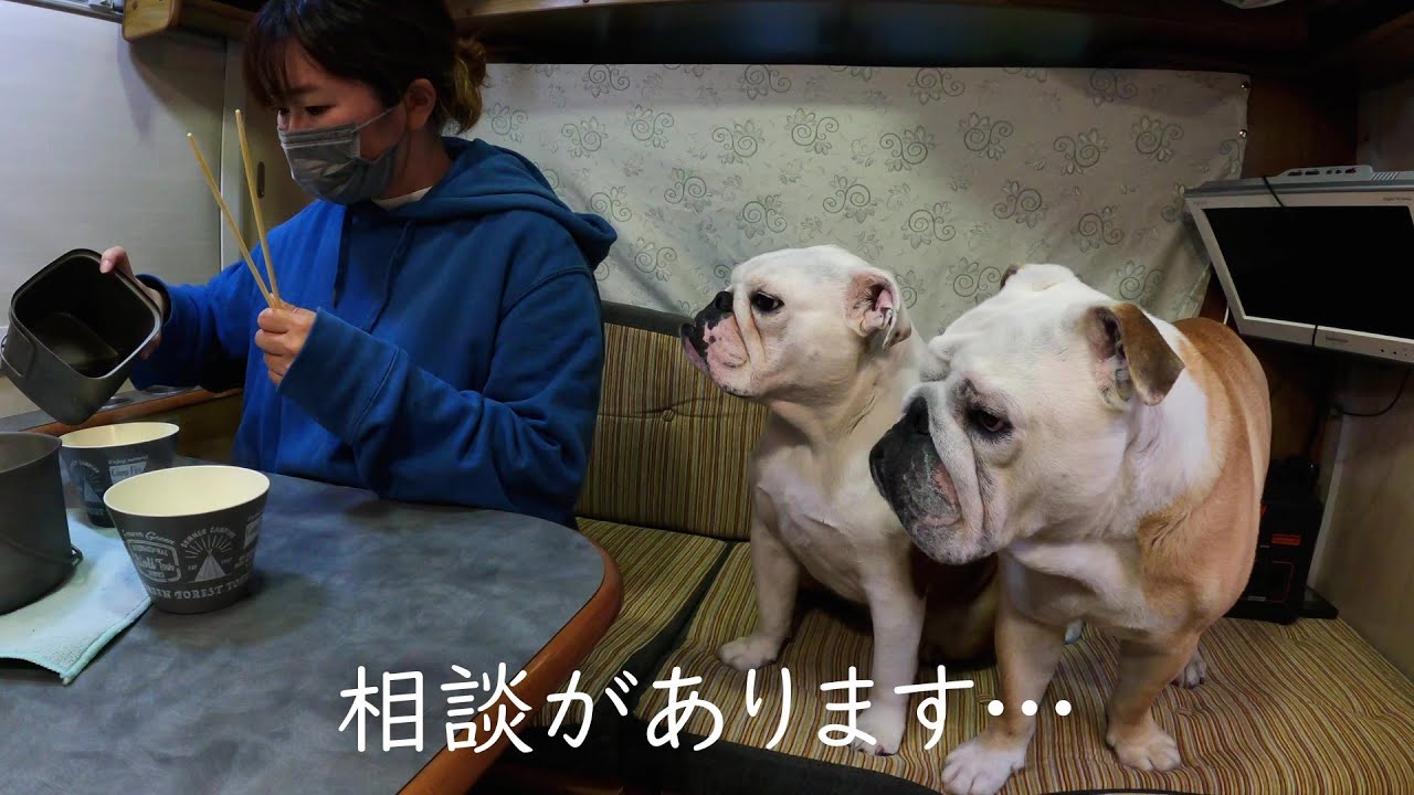 車中泊生活をする２匹のブルドッグと私、愛犬が「家に…」と相談されました…。