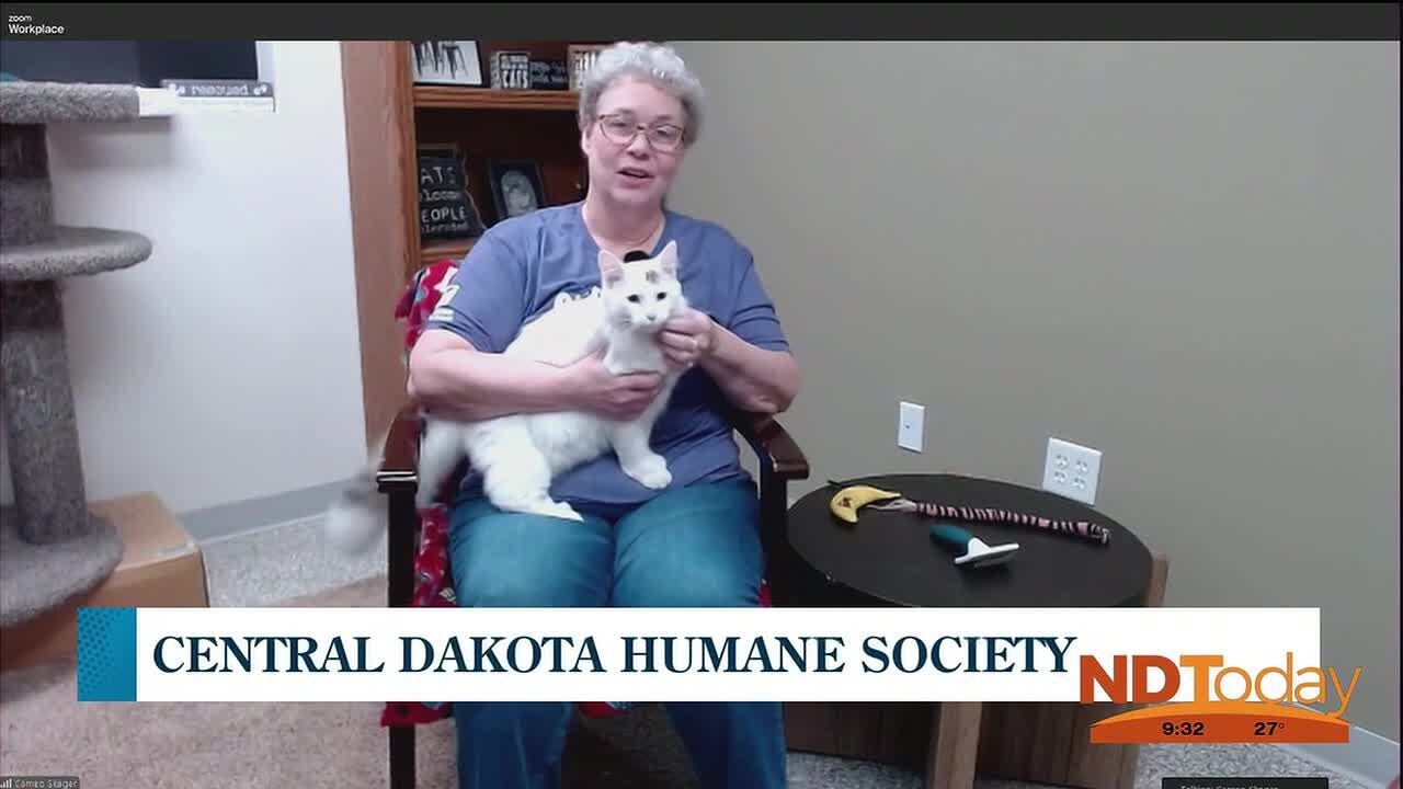 ND Today: Central Dakota Humane Society