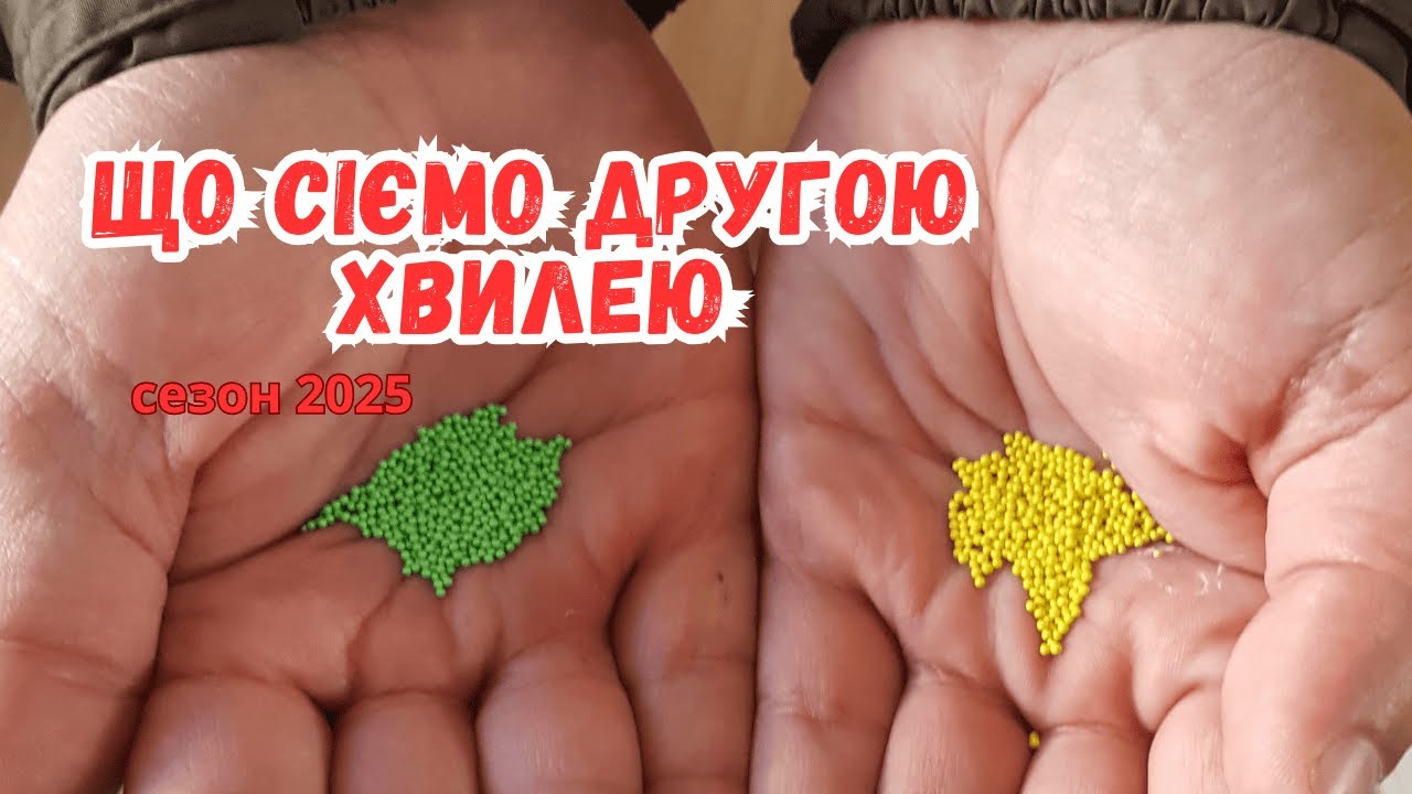 Що сіємо в другій хвилі- показую сходи розсади і що робимо. Сезон 2025