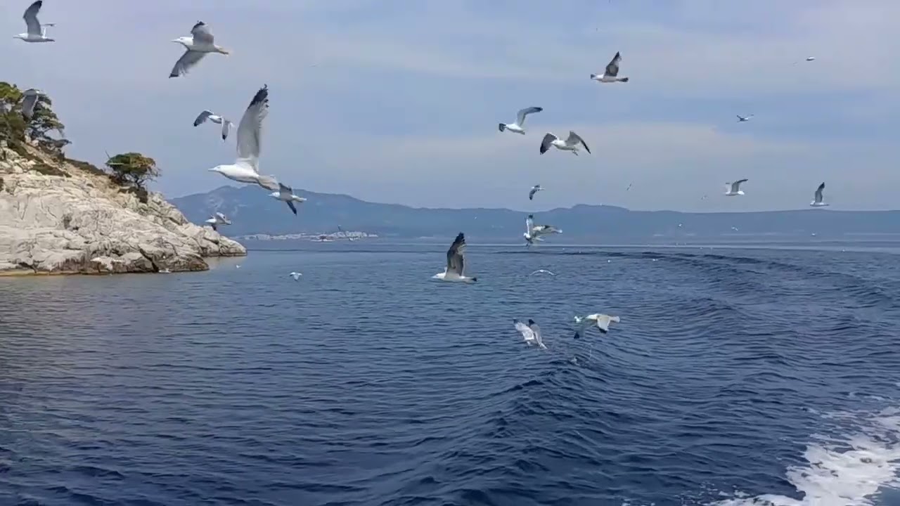 Kurdish Ai Cover Project - Ay dilber&eacute; v3