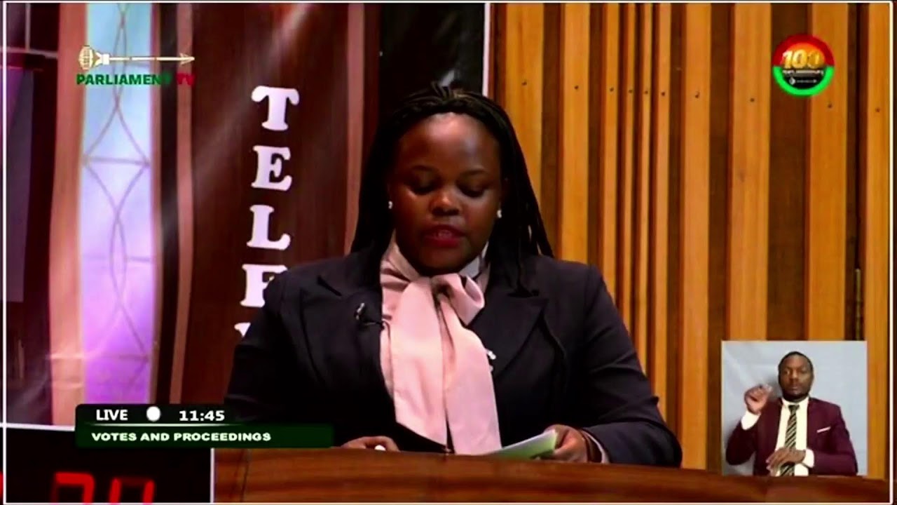 National Assembly of Zambia  Live Stream