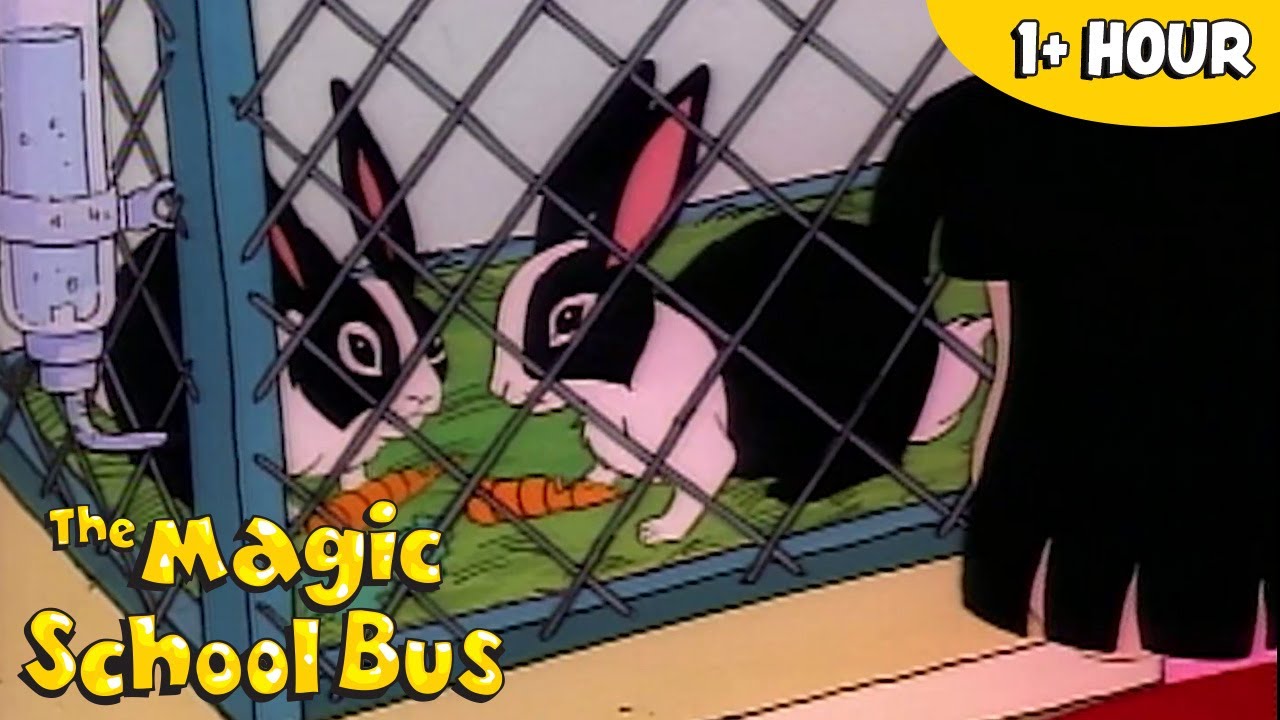 Natural Animal Habitat | Science and Biology | The Magic School Bus | Scholastic After School