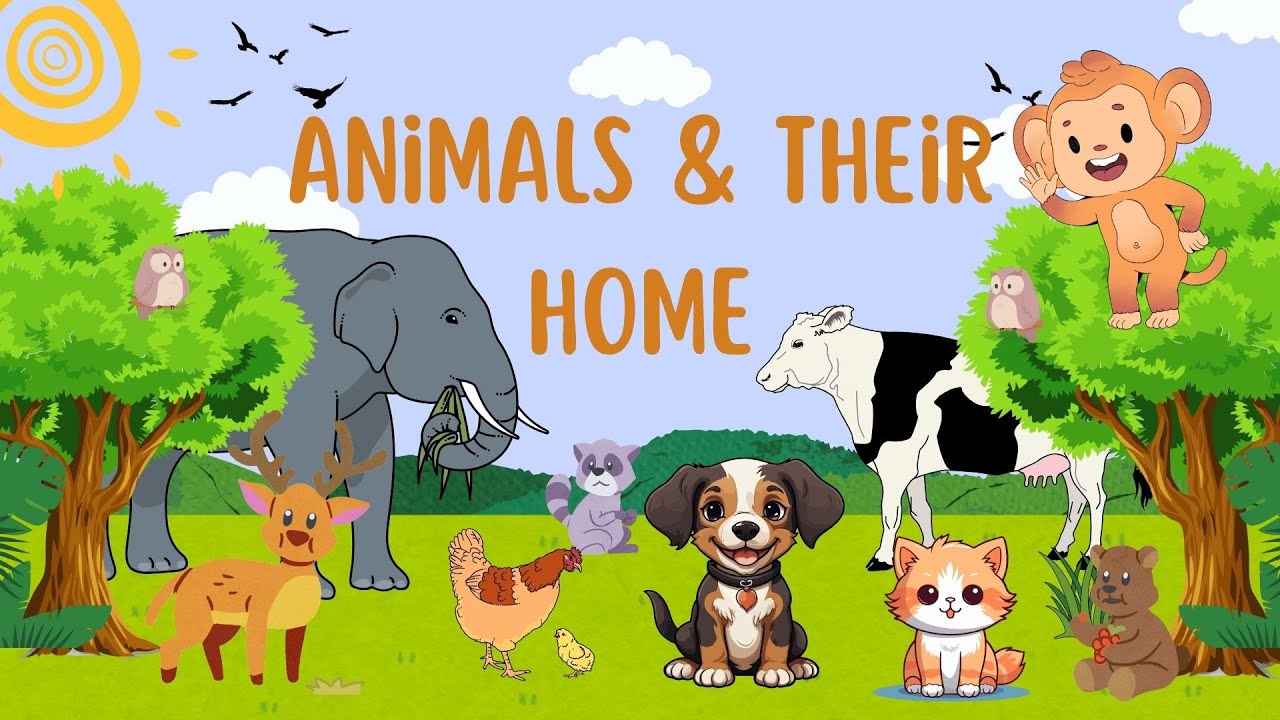 Animal Homes for Kids | Learn Where Animals Live | Kindergarten Learning
