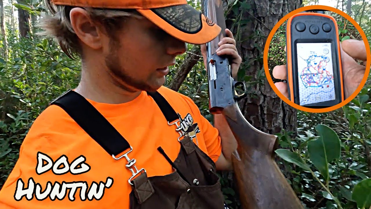 Сезон охоты на оленей возвращается! | Открытие сезона | TKB S2 E1